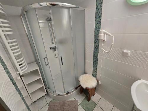 ein Bad mit einer Dusche und einem WC in der Unterkunft JASTRZĄB in Ropienka