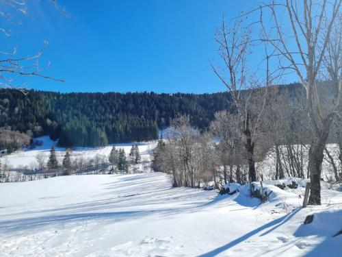 Chalet, Murat (nouveau logement) v zimě