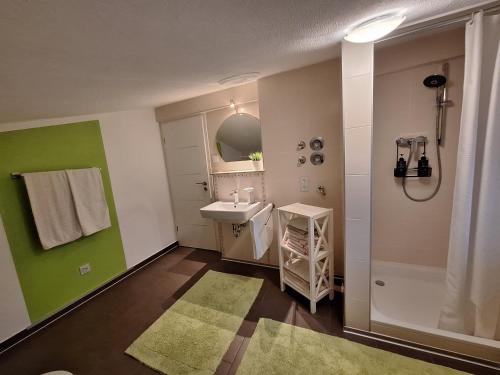 ein Bad mit einem Waschbecken und einer Dusche in der Unterkunft modern und gemütlich in Linden