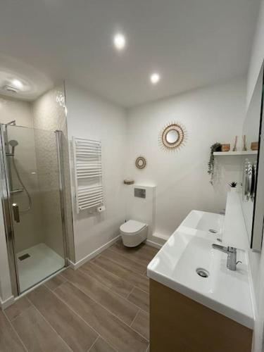 a bathroom with a shower and a toilet and a sink at Sublime T2/ Cosy/ Clim/ Parking/Plage in Menton