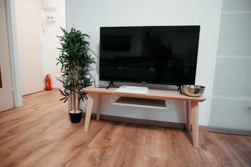 a television on a wooden table with a potted plant at Vienna Stadthalle Apartment 19 in Vienna