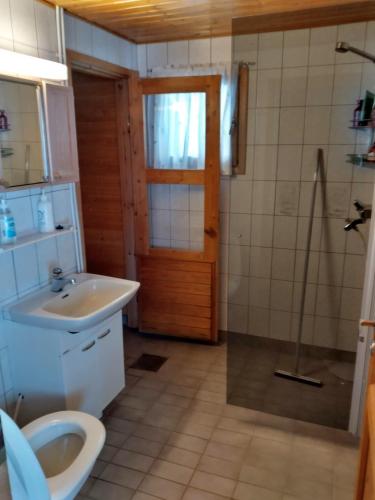 a bathroom with a sink and a toilet and a shower at Lapikas in Kallo