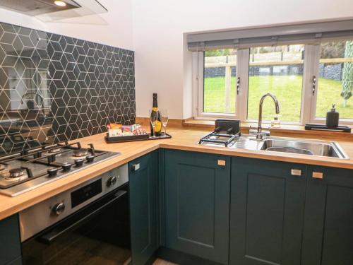a kitchen with green cabinets and a sink at Eboracum in Hathersage