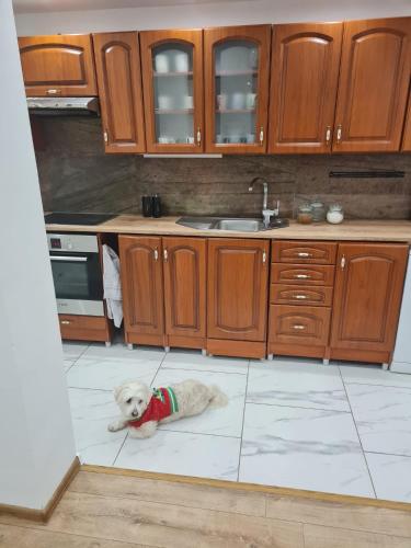 Dapur atau dapur kecil di Dom pri rieke s parkovaním