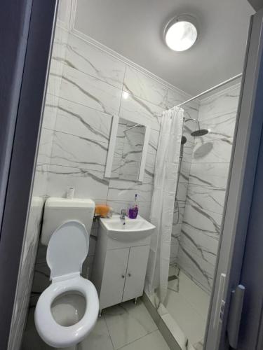 a bathroom with a toilet and a sink and a shower at Apartament cu o camera in Oradea