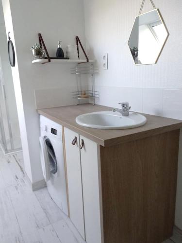 une salle de bain avec un lavabo et une machine à laver dans l'établissement Maison charmante avec grand jardin - St-Pierre-Quiberon, à Saint-Pierre-Quiberon