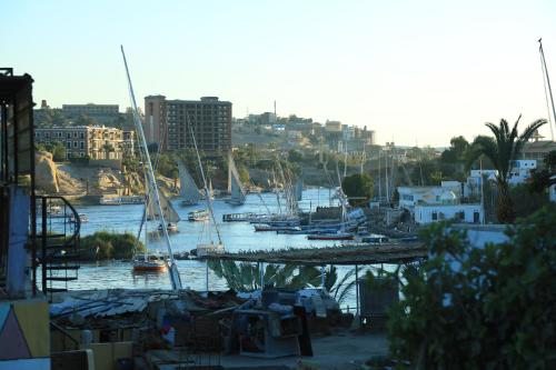 a group of boats are docked in a harbor at Crystala guest house in Aswan