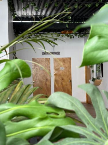 Jardín al aire libre en Casa Egos Pop Laureles