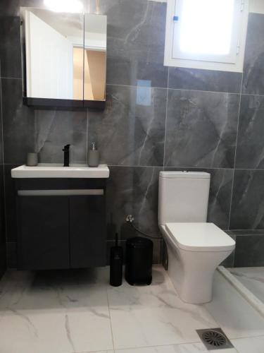 a bathroom with a toilet and a sink and a mirror at Rosilion Studios & Apartments in Katelios
