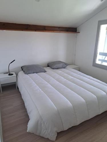 un grand lit blanc dans une chambre avec une fenêtre dans l'établissement Maisonnette 2 chambres à deux pas des plages, à Biscarrosse