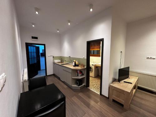 a bathroom with a sink and a toilet in a room at elisio - Pani Nani Apartment in Braşov