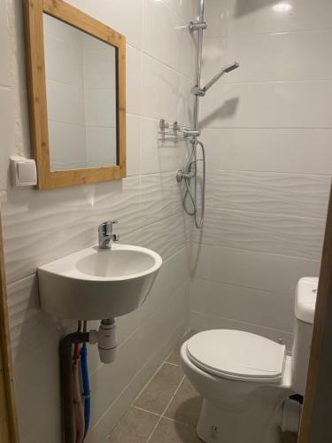 La salle de bains est pourvue d'un lavabo, de toilettes et d'un miroir. dans l'établissement Location chambres Mtsapéré Maevantana sur Mamoudzou Mayotte chez Zam, à Mamoudzou