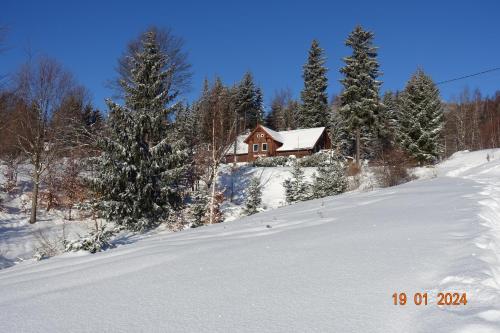 Śnieżynka Spa trong mùa đông