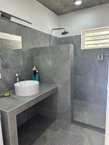 a bathroom with a sink and a shower at Pension Irivai appartement PUATOU 1 chambre bord de mer in Uturoa