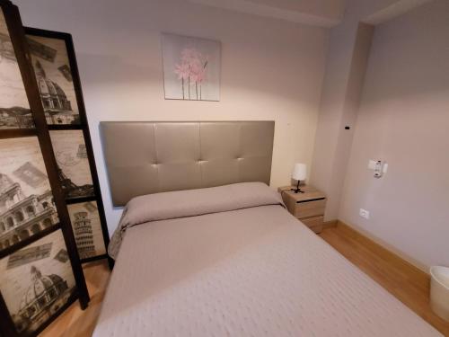 - une chambre avec un grand lit dans l'établissement Apartamentos Pedro Miñor, à Oviedo