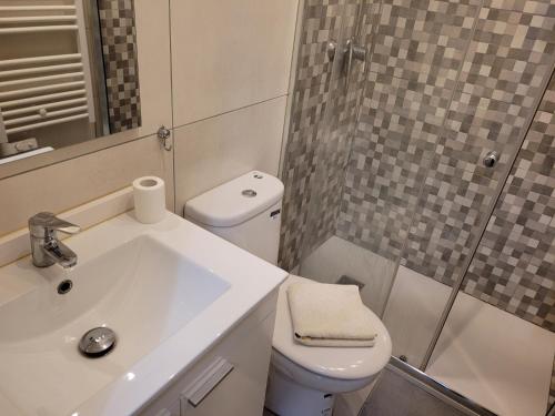 uma casa de banho com um WC, um lavatório e um chuveiro em Apartamentos Pedro Miñor em Oviedo