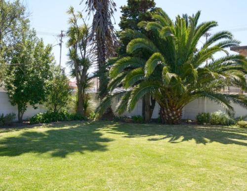 un patio con palmeras y una valla en The Other House - Cape Town en Ciudad del Cabo