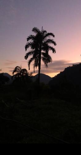 un palmier devant un coucher de soleil dans l'établissement Casa del árbol - laVerde HABITAT, 