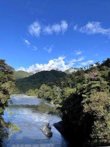 a river with trees and a mountain in the background at Casa del árbol - laVerde HABITAT 