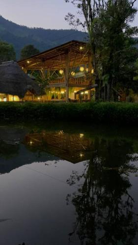 a building with a reflection in the water at night at Casa del árbol - laVerde HABITAT 