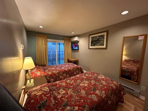 una camera d'albergo con due letti e uno specchio di Nox Hostel a Toronto