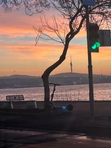 a green traffic light with a tree and the water at BİG ORANGE HOTEL in Istanbul