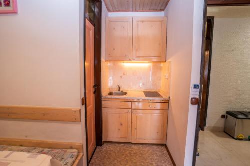 a small kitchen with wooden cabinets and a sink at Apartments Bohinj Mavrica in Bohinj