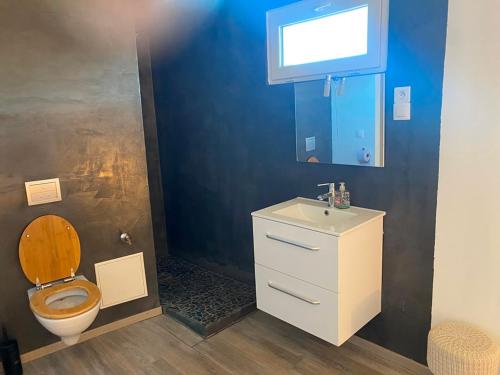 a bathroom with a toilet and a sink and a window at Duplex 5, Rue Sainte Catherine in Nîmes