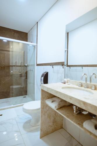 a bathroom with a toilet and a sink and a shower at Riellis Center Hotel in Botucatu