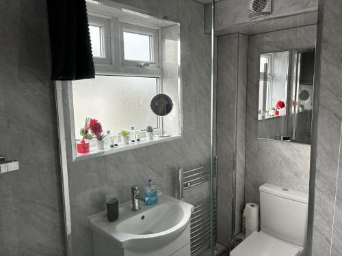 a bathroom with a sink and a toilet and a mirror at Cosy Corner - 2 beds, free parking, garden, 2 mins walk to Southampton General Hospital in Southampton