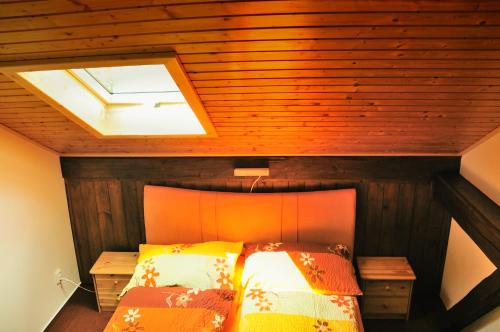 a bedroom with a bed in a room with a skylight at Penzion Kameňák in Horní Planá