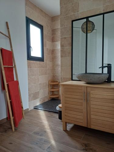 une salle de bain avec un lavabo et un miroir dans l'établissement La maison aux volets bleus, à Tresques