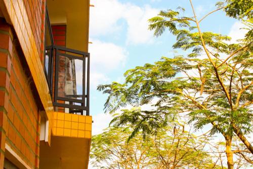 a balcony of a building with trees in the background at Müller Hotel in Bella Vista