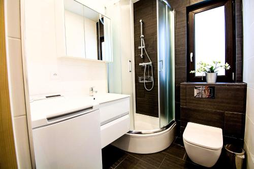 a bathroom with a toilet and a sink and a shower at Ośrodek Wypoczynkowy IDA in Mielenko