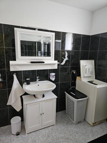 une salle de bain avec un lavabo et un miroir au mur dans l'établissement Maison la vigne haute, à Saint-Viance
