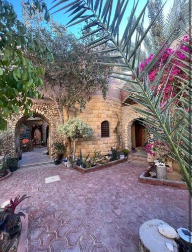 Сад в Dream Lodge Siwa دريم لودج سيوة