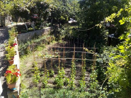 Κήπος έξω από το Αρχοντικό Ειρήνη - 4 Metsovo