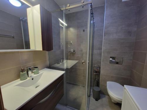 a bathroom with a shower and a sink and a toilet at Apartman 310 in Zlatibor