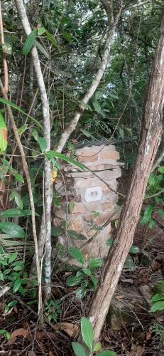 um sinal em cima de um tronco na floresta em Camping Terra do Nunca em Alto Paraíso de Goiás