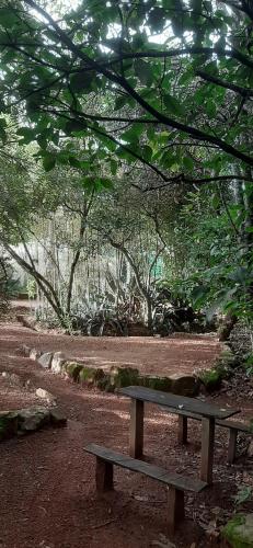 um banco de madeira sentado no meio de um parque em Camping Terra do Nunca em Alto Paraíso de Goiás