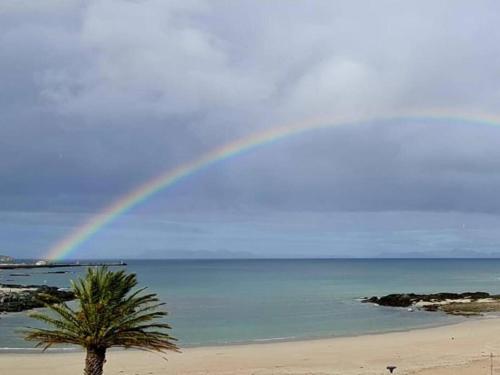 a rainbow over a beach with a palm tree at Loft Cottage, sleeps 2. Central and Cozy! in Cape Town
