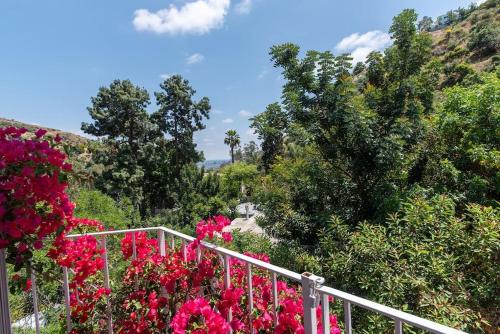 Gallery image of Stunning Hollywood Midcentury Modern-Views-Best Location! in Los Angeles