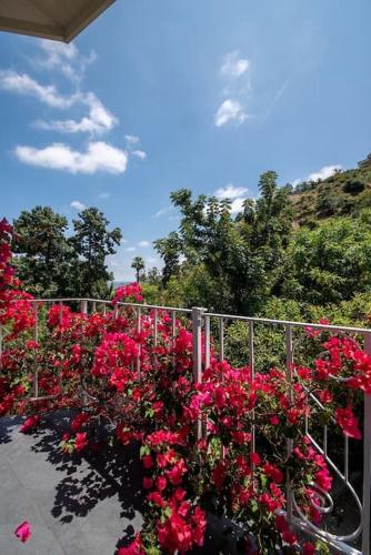 Gallery image of Stunning Hollywood Midcentury Modern-Views-Best Location! in Los Angeles