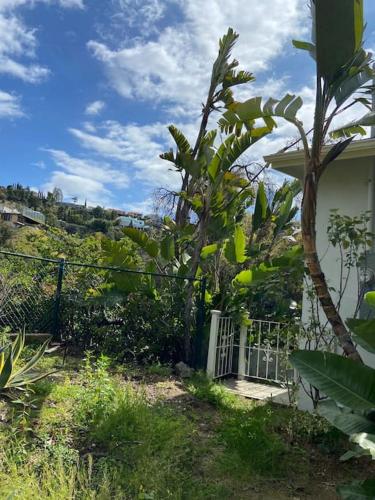 Stunning Hollywood Midcentury Modern-Views-Best Location! photo 40
