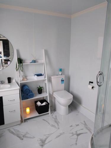 a white bathroom with a toilet and a sink at The Snug - Rural Hideaway in Invercargill
