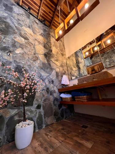 a room with a stone wall with a potted plant at Hotel Campestre Palmas del Zamorano in San Gil