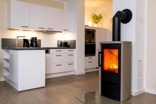 a kitchen with a stove in the middle at Hafendorf Haus 7_ Apartment 4 in Plau am See