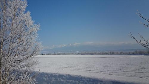 a snow covered field with trees and mountains in the background at ふらの田園コテージヌプリ in Nakafurano