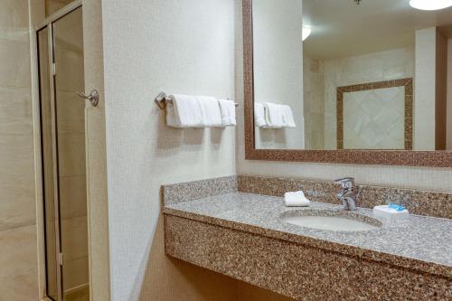 a bathroom with a sink and a mirror at Drury Inn & Suites Indianapolis Northeast in Indianapolis