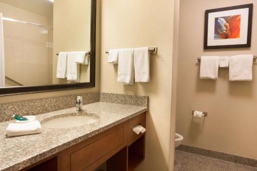 W łazience znajduje się umywalka i lustro. w obiekcie Drury Inn & Suites Phoenix Tempe w mieście Tempe